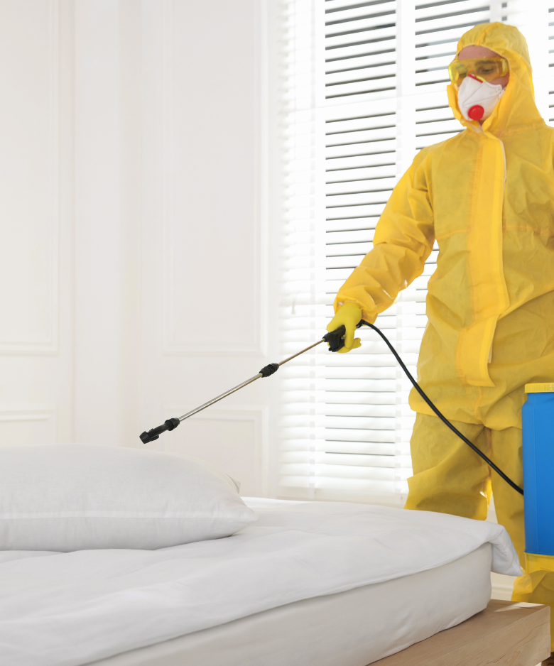 Professional Pest Control Team in Athol Park